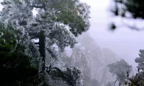 火影战国夜袭