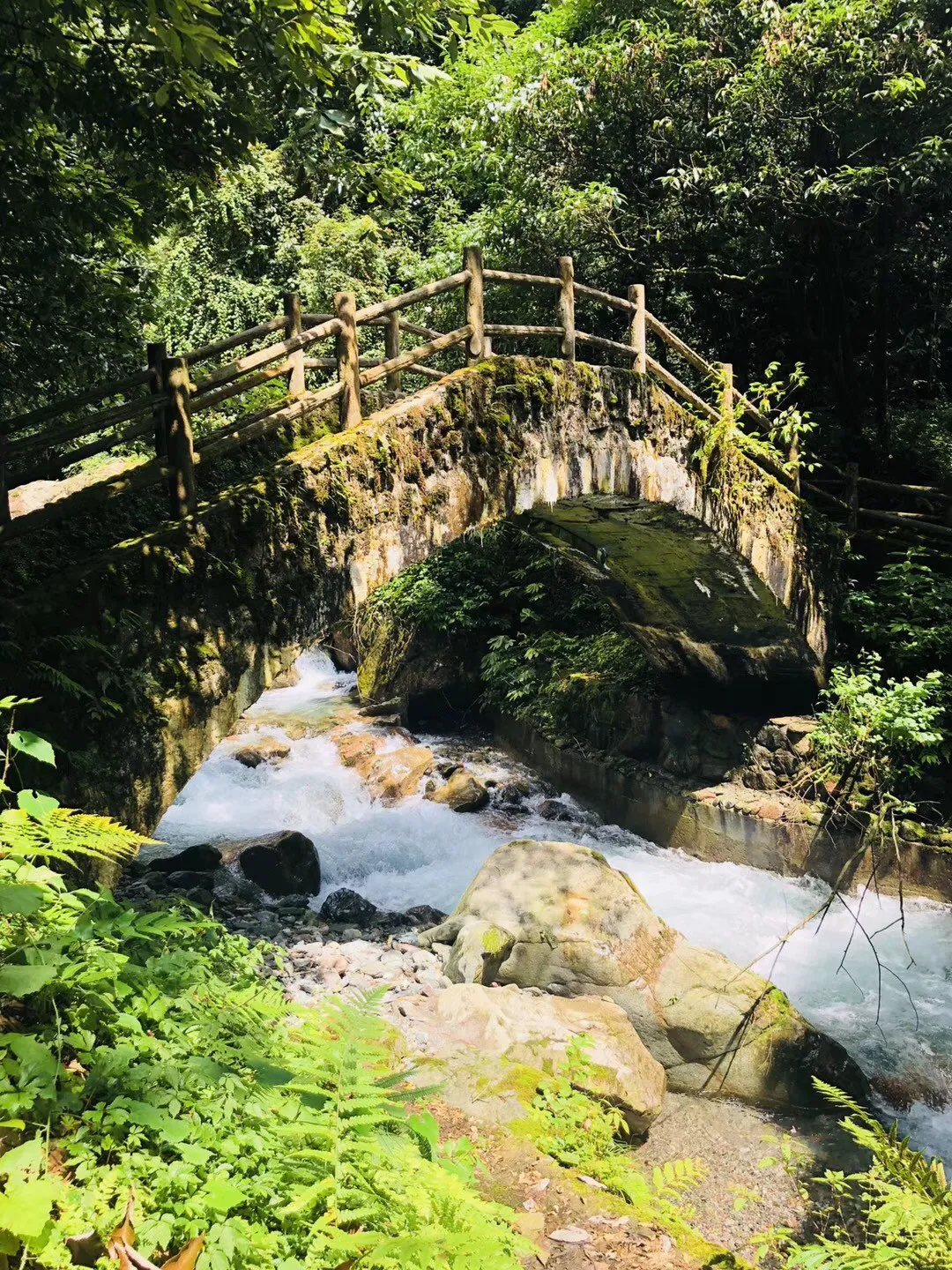 探索天涯问答交流平台重力代表值怎么计算